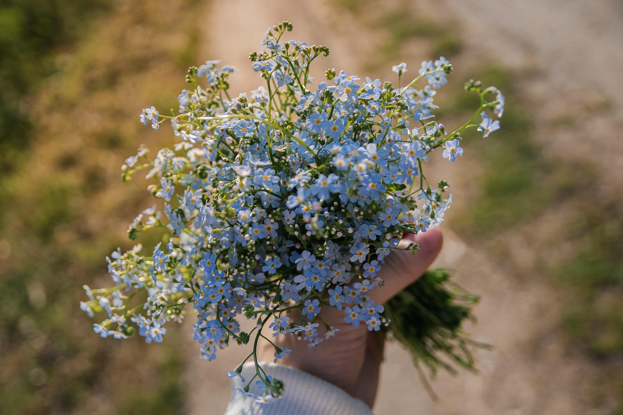 Lente boeket met kleurrijke veldbloemen. Lente boeket met kleurrijke veldbloemen.