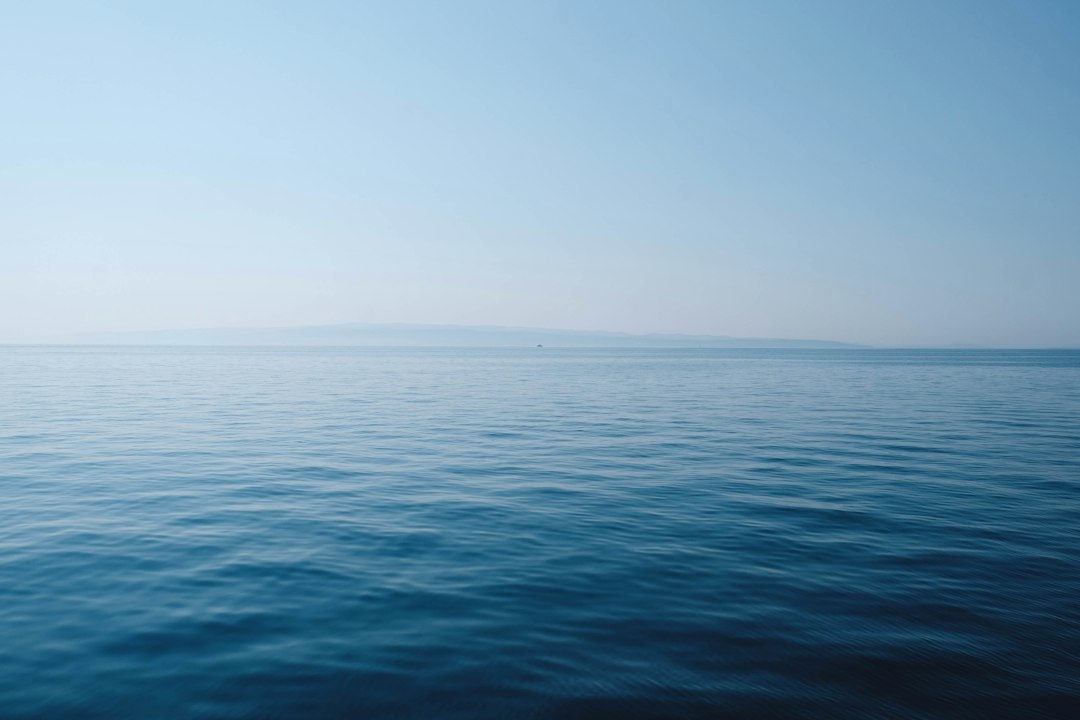 Onderwaterlandschap schilderijen met levendig zeeleven.